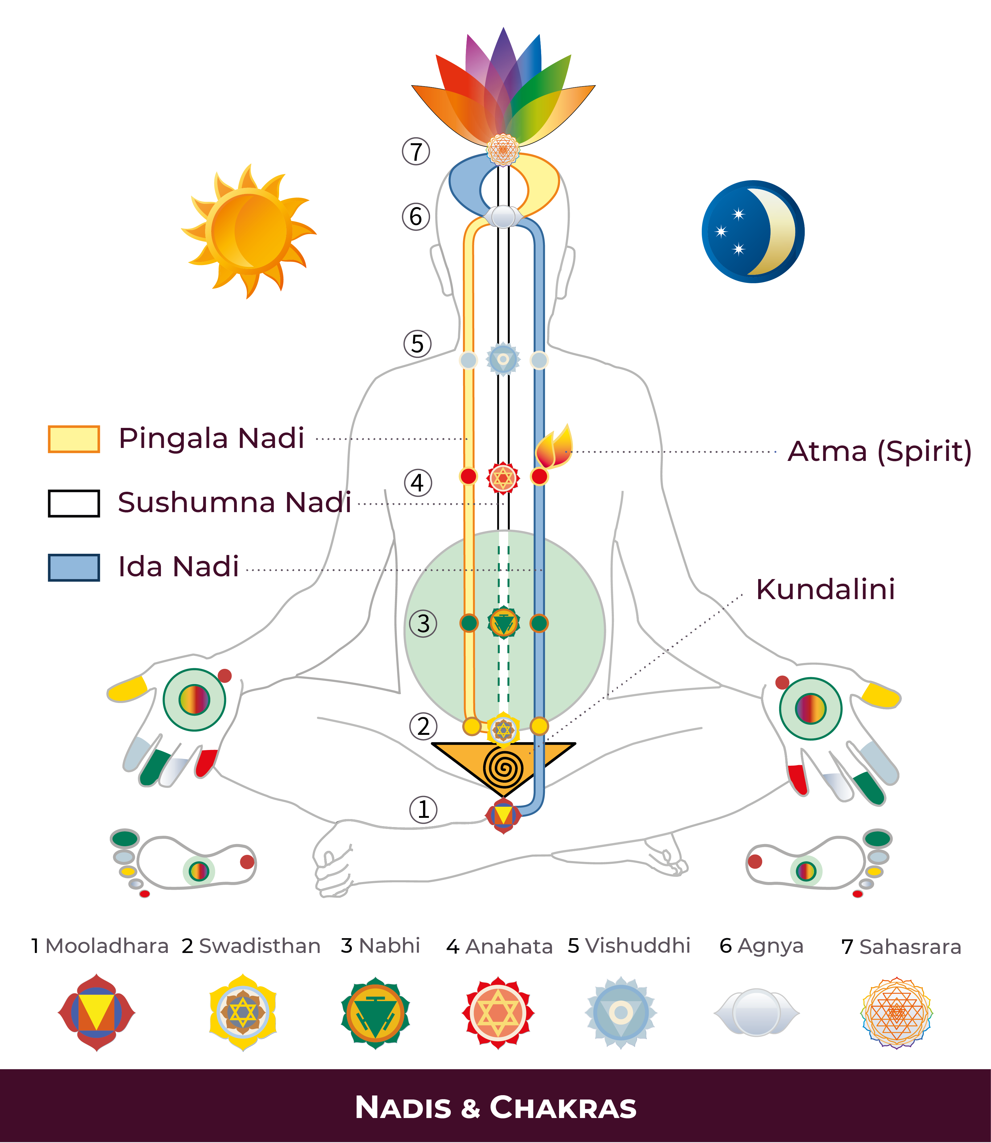 01_Nadis _ Chakras-01