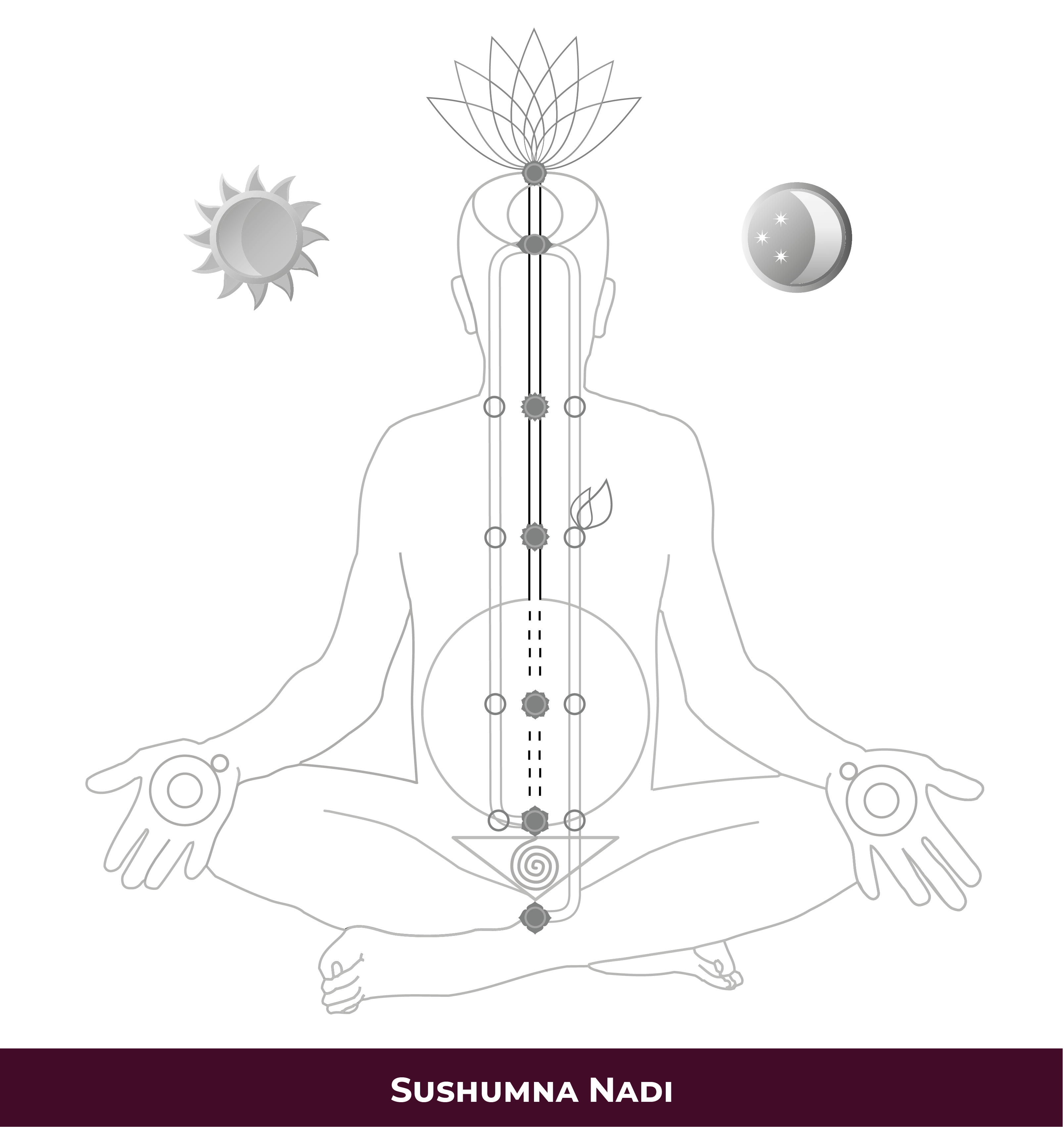 4_Sushumna Nadi-01